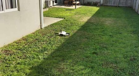 Modern 4-Bedroom Family Home - Photo 3