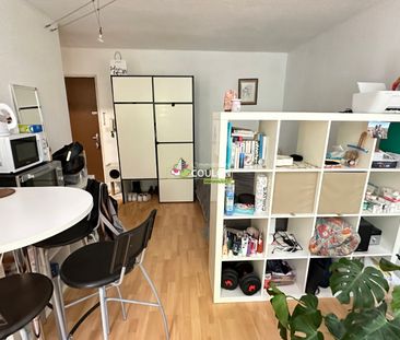 Location Appartement 1 pièce 23m² - Photo 2