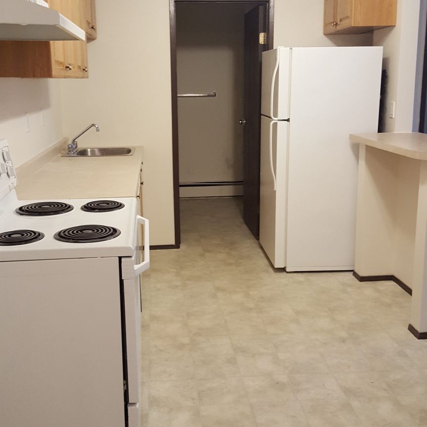 Mac Jo – 1 Bedroom Apartment- All Utilities Included - Photo 1