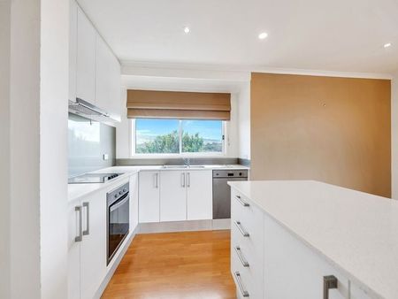 8A Albatross Av, Chiton SA 5211 - House For Rent | Domain - Photo 5