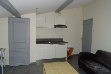 Location Appartement 1 pièce 20m² TAIN L HERMITAGE 26600 - Photo 4