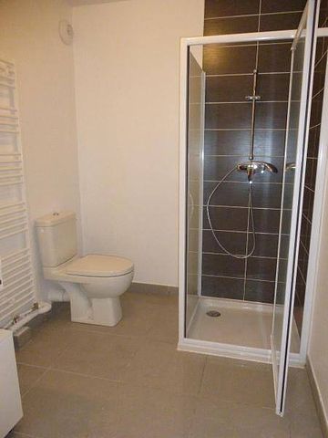 Location appartement 1 pièce 23.73 m² à Montpellier (34000) - Photo 3