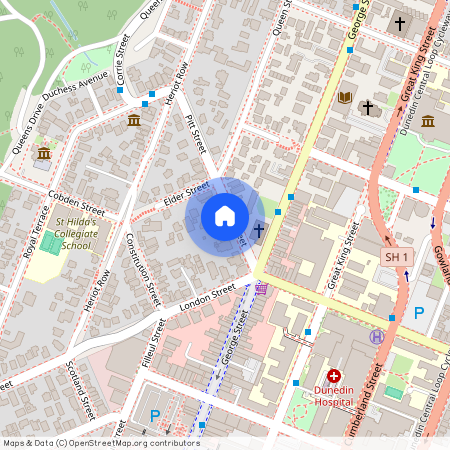 8 Pitt Street, Dunedin