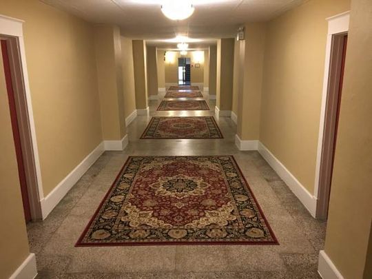 202-67 Sydenham St. - 2 bed, 1 bath - Photo 1