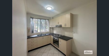 RENOVATED UNIT WITH PARK VIEWS ! - Photo 2