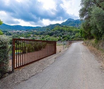 4 room luxury Farmhouse for rent in Estellencs, Spain - Photo 2