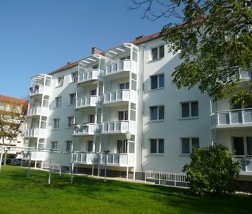 Spaziergänge im Robert-Koch-Park genießen - Photo 1