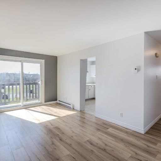 Appartement 3 ½ à louer Lévis novembre 2025 - Photo 1