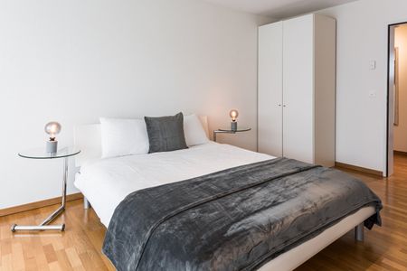 Family Apartments – Zürich Dübendorf - Foto 4