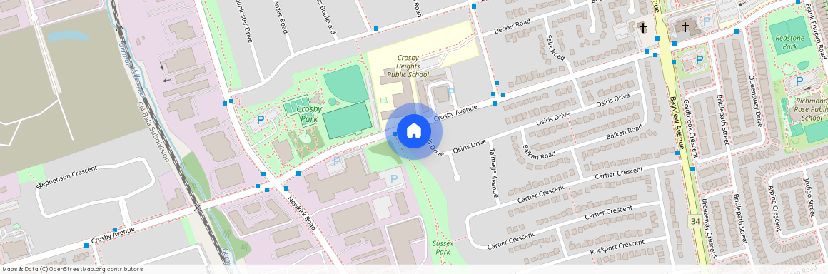 302 Crosby Avenue #Main, Richmond Hill, Crosby