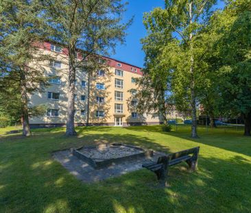 Demnächst frei! 2-Zimmer-Wohnung in Flensburg Mürwik - Photo 1