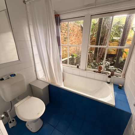 Surry Hills - Photo 3