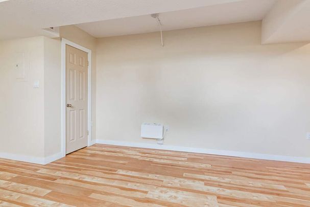 Renovated Suite - 1 Bedroom - Photo 1