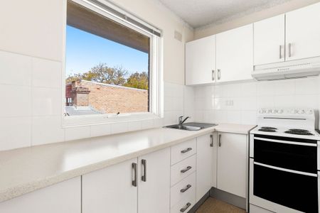 11/20 Alexandra Road, Glebe NSW 2037 - Studio For Rent | Domain - Photo 3