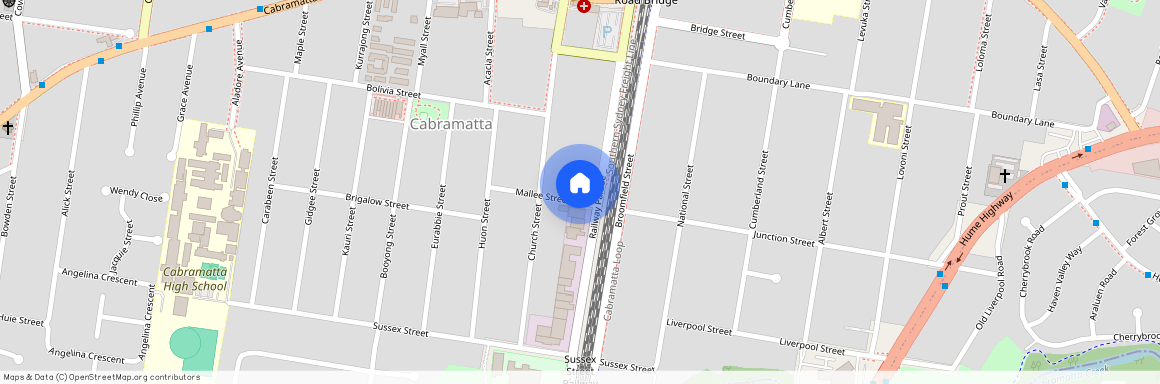 1E Mallee Street, NSW 2166, Cabramatta