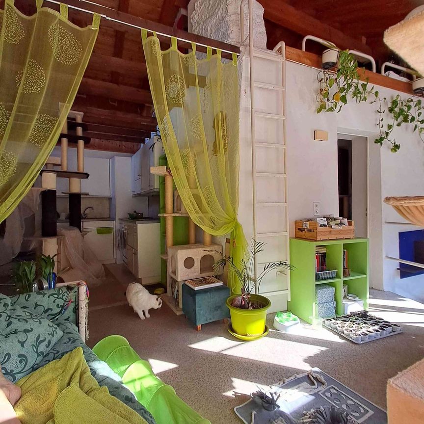1.5 Zimmer, 40 m², 2. Stock - Foto 1