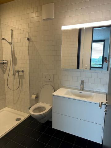 "Ihre Traumwohnung im neuen Riverside-Quartier in Zuchwil" - Foto 2