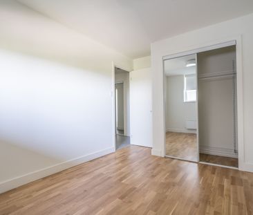 230 Oak Street - Photo 1