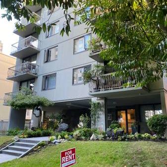 **Newly renovated** 1bedroom apartment downtown Vancouver/Davie Villge - Photo 3