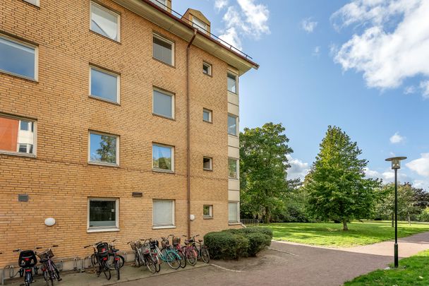 Högamöllegatan, Malmö - Photo 1