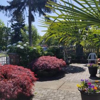 $1,900 / 1br - 750ft2 - ***Vancouver Garden Suite Rental*** - Photo 3