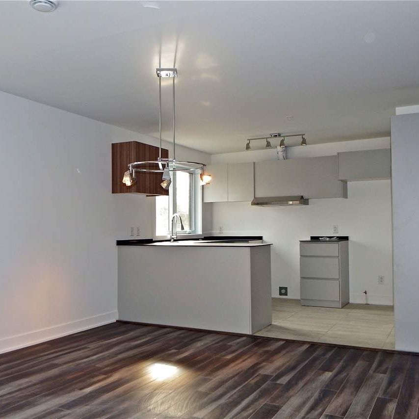 1 CH - 1 SDB - Longueuil - $1,650 /mo - Photo 1