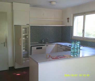 1 Zimmer - Photo 4