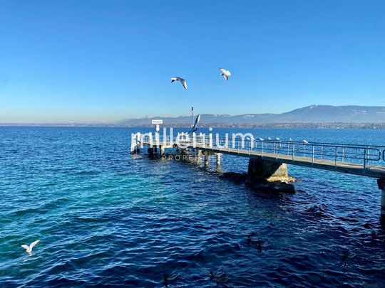 Beau studio à proximité du collège du Léman - Photo 1