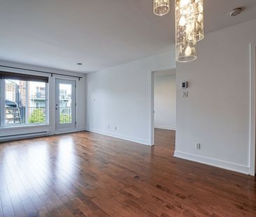 Condo for rent, Montréal (Le Sud-Ouest) - Photo 4