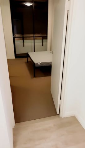 1 bed 1 bath-307C - Photo 3