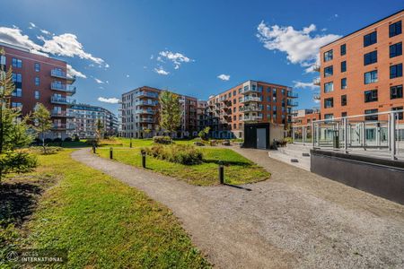 Beautiful new apartment for rent in Ville Saint-Laurent, Noria project - Photo 3