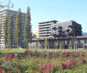 Q5 am PARK großartige 2ZI mit Süd/Balkon PARKBLICK - Photo 6