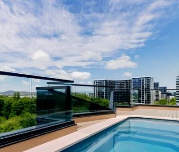 1 bed 1 bath - Photo 6