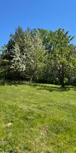 Stugvägen, Svartsjö - Foto 4