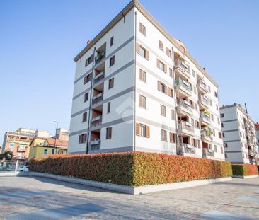 Bilocale in affitto - Photo 1