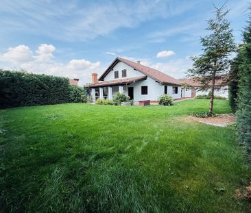 DE INCHIRIAT Casa individuala, 180mp utili, 720 teren-Sanmih - Photo 6