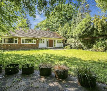 3 bedroom detached bungalow to rent - Photo 4