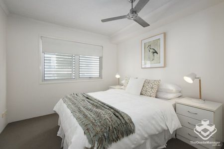 2 Bed + 2 Bath Inner City Living - Photo 2