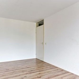 Apartment Maastricht - Clermontlunet - Photo 1