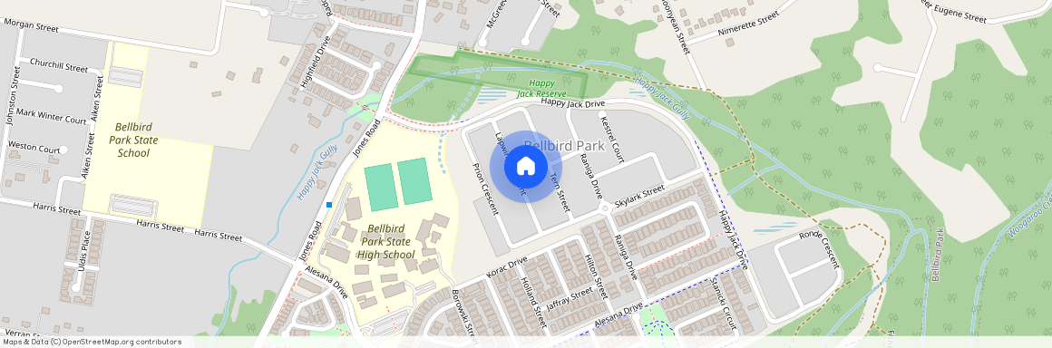 41 LAPWING CRESCENT, Qld 4300, Bellbird Park