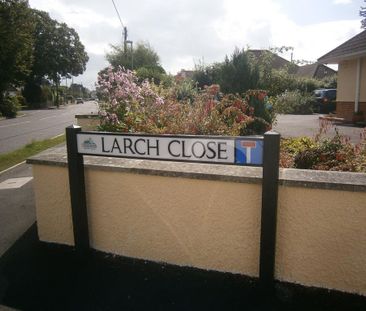 3 bedroom bungalow to rent - Photo 2