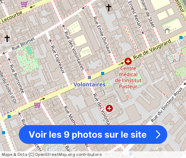 Rue de Vaugirard, Paris - Photo 1