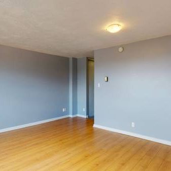 Bachelor Apartment for Rent – Pet Friendly – Feb 1st Move-In! - Photo 3