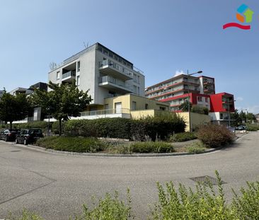 Location Appartement 3 pièces 70m² STRASBOURG 67100 - Photo 6