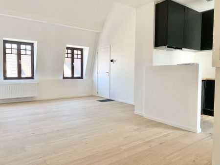 Gerenoveerd appartement met 2 slpk en terras op top locatie - Foto 3