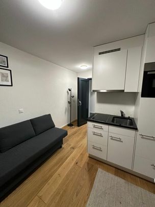 Newly built 1-room studio (13 m²) for rent from 01.03.2026 - Photo 1