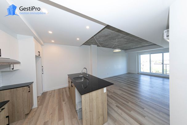 40 Cardinal Maurice-Roy – Le Lièvre - Photo 1