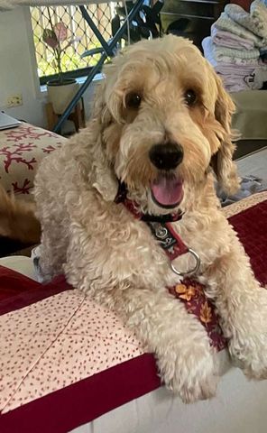 Maroochydore - Photo 5