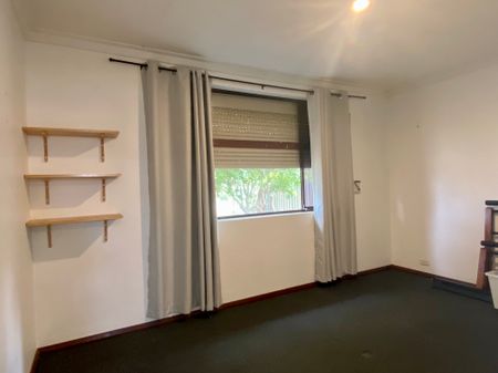 Charming and Charismatic! - Photo 5