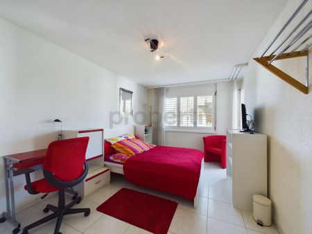 Excellent Furnished 2.5-room Apartment in Buchs, Zurich - Photo 2